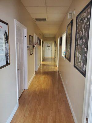 Hallway to patient rooms