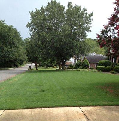 Lawn Maintenance of Grass