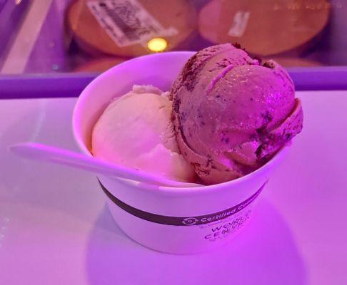 Sweet Cream (left) and Salted Caramel Chip in a cup