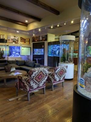 Interior showroom floor at The Fish Gallery in the uptown Houston area