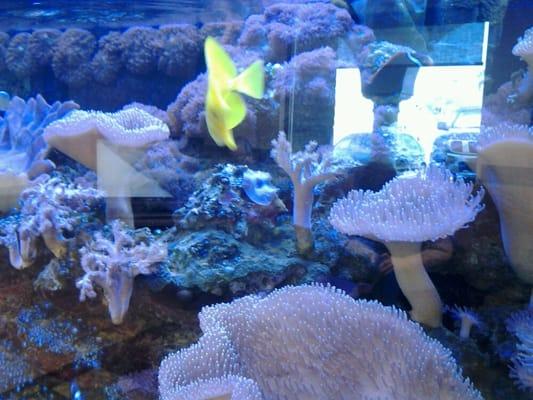 There's a beautiful aquarium to look at while you wait :-)