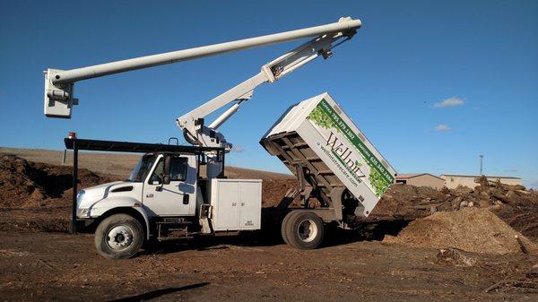 Truck at the dump.