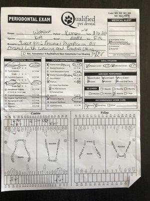 Dental report card