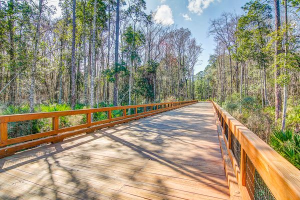 Nocatee Golf Cart Paths