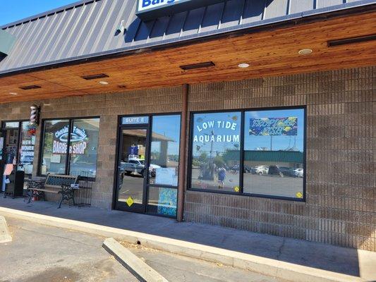 Aquarium shop selling saltwater and freshwater livestock