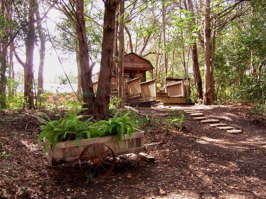 Del's Cabin sits on the high bank of the creek with a great view of the bridge