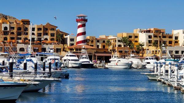 Port of Los Cabos