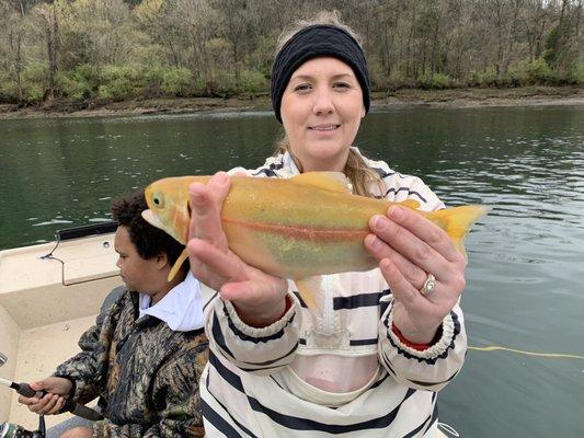 Golden trout! Didn't know they existed.