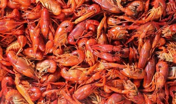 CRAWFISH