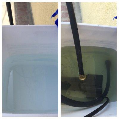 Before & After Tankless water heater yearly flush out on left before flush. On the right  after flush.