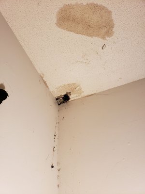 520 Pine Ridge Place after the hole caved in and black mold fell out onto the bedroom floor.