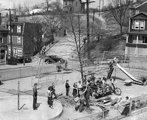 1951 photo, planting a large Pin-Oak tree