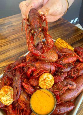 Crazy Crawfish!!!