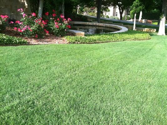 lawn care - fertilization & weed control