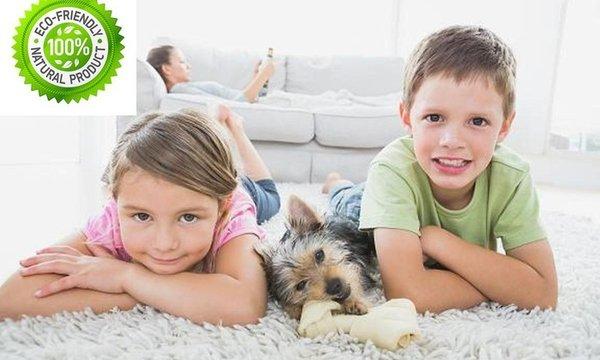 Alexandria Green Carpet & Rug Cleaning