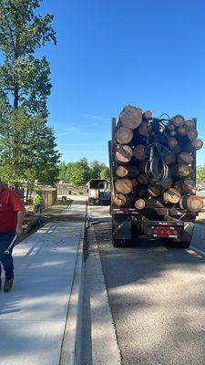 Hauling wood