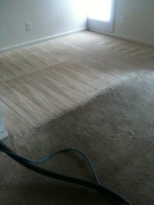 Custom Carpet Cleaning