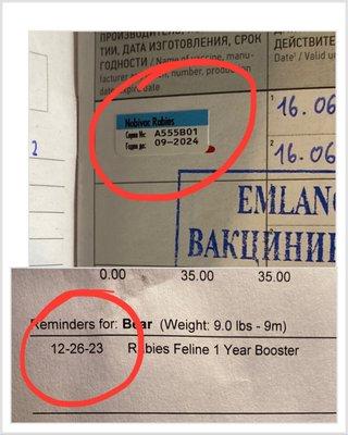 Proof they gave him an unneeded/dangerous rabies shot just 3 months after already getting it