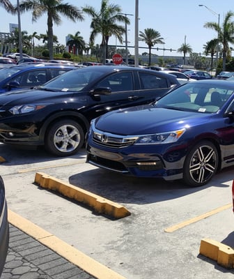 Parking lot facing Blue Heron blvd, and my new car!