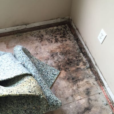 Mold Removal | Water Damage | Fire Damage | Restoration Services | Clean up