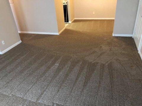 Carpet install