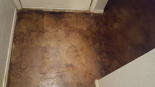 Raul's Concrete Stain in Plano, TX