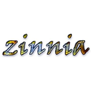 Zinnia Tech