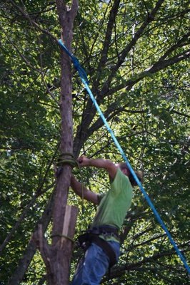 Andrews Roofing & Tree Service