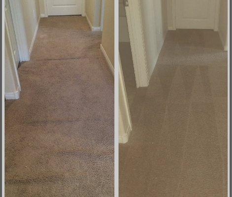 Before and after carpet cleaning