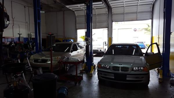 We handle all import, domestic, and everything in between!