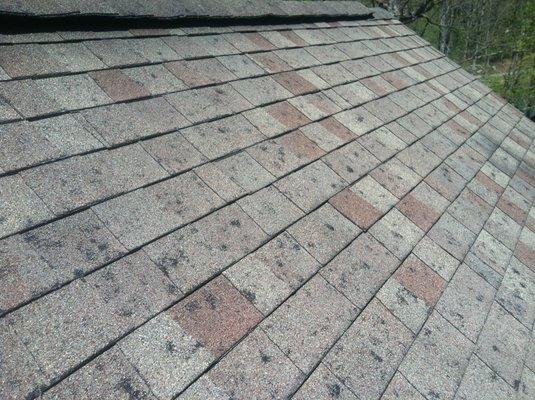 Hail damage to a typical asphalt shingled roof.