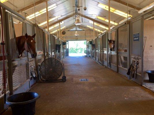 HPD horse stables