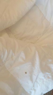 Seeped and dried through to other side of comforter