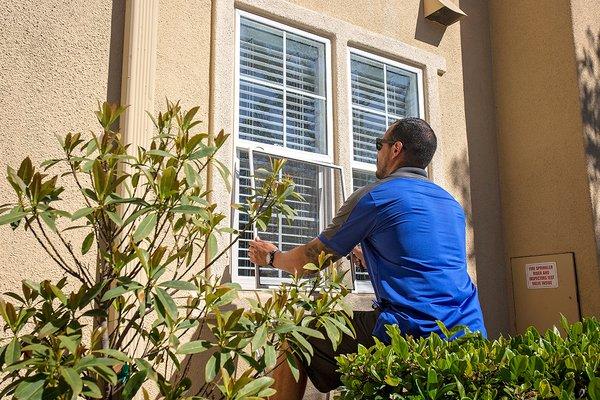 Window Screen Cleaning