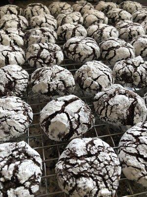 Homemade chocolate crinkles chewy inside crunchy outside.