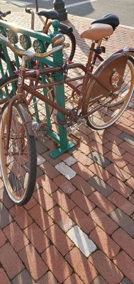 Bicycle rentals available