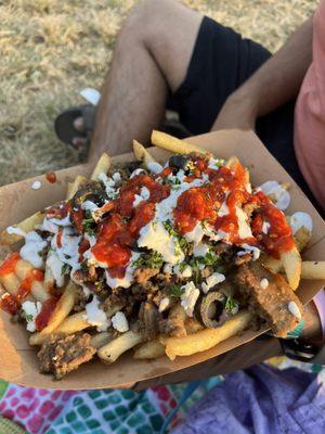 Beef lamb gyro over fries