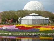 Epcot Flower and garden festival