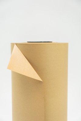 Poly Coated Paper