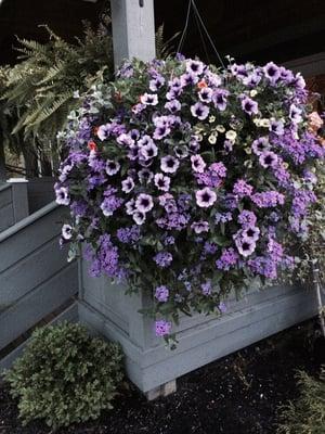 Hanging basket