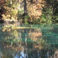 Beautiful Rainbow River in Dunnellon