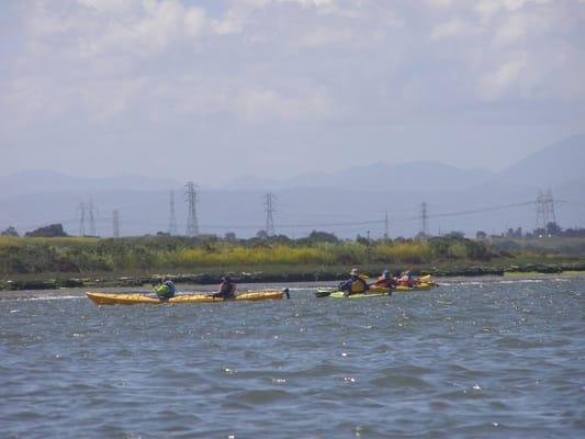 The Elkhorn Slough Foundation