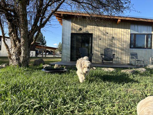 Bring your 4 legged companions to stay at the Sunflower Resort on-site at the Methow Valley Wellness Center.