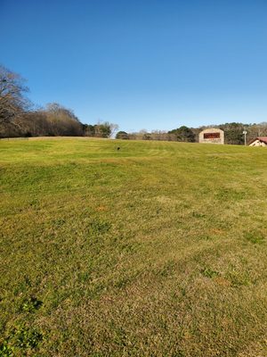 Front yard