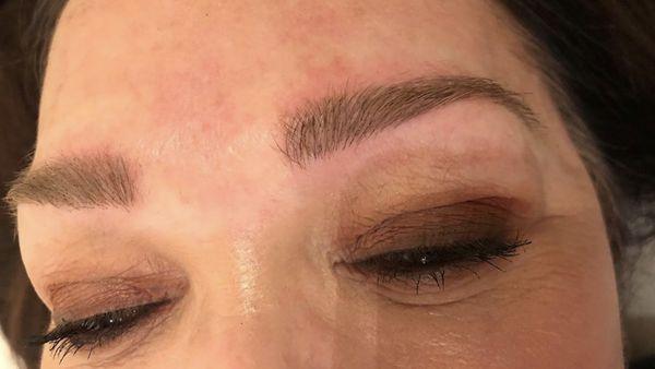 Micro Blading Results