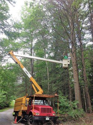 Bucket Truck Tree Trimming in Mont Vernon, New Hampshire