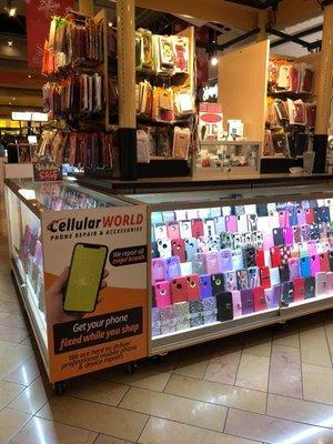 Cellular world