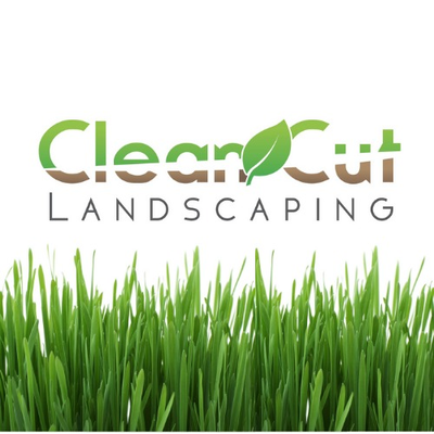 Top Rated Lawn Care & Landscaping Company