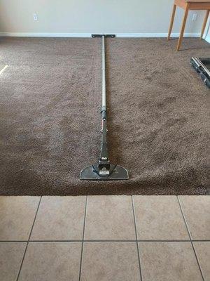 Rich's Carpet Cleaning Plus