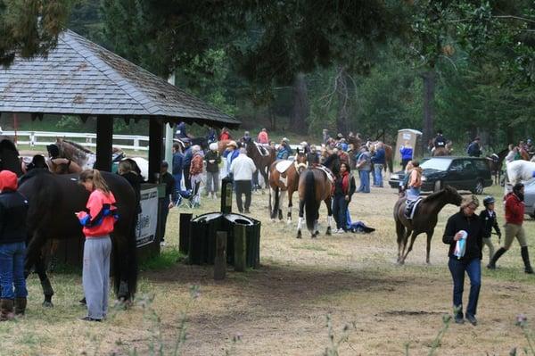 MHA Horse Show at Sequoia Arena 2009 (Photo by Kazumi Komar)